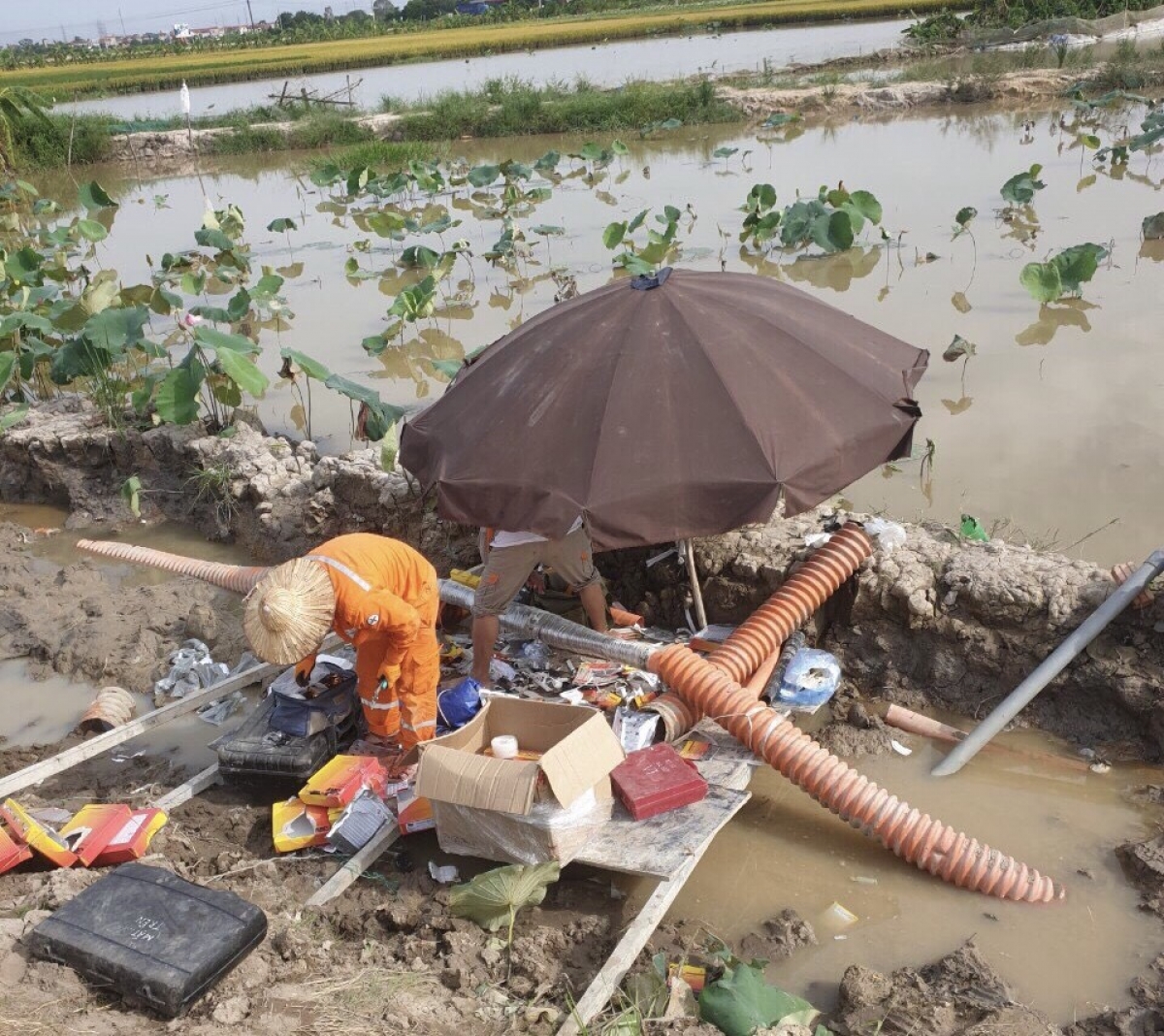 cong nhan nganh dien treo minh tren cot giua nang nong 40 do o mien bac hinh anh 11