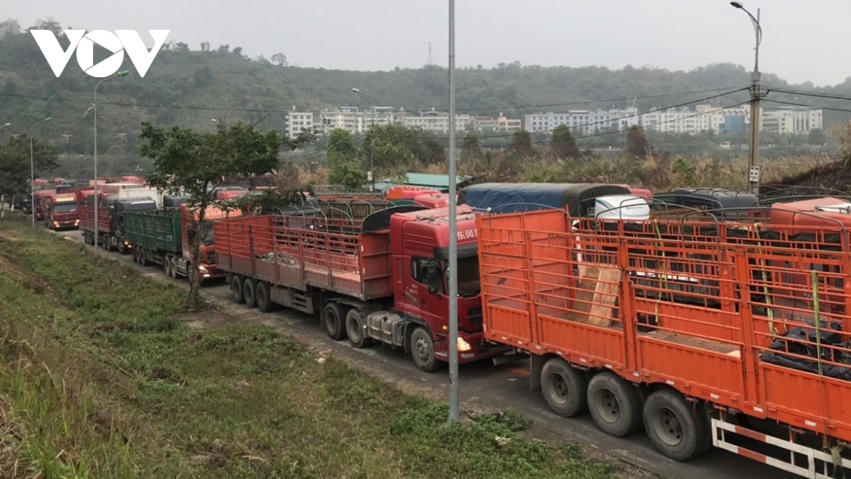 trung quốc thông báo tạm dừng xuất nhập khẩu qua lào cai hình ảnh 1 trung quoc thong bao tam dung xuat nhap khau qua lao cai hinh anh 1