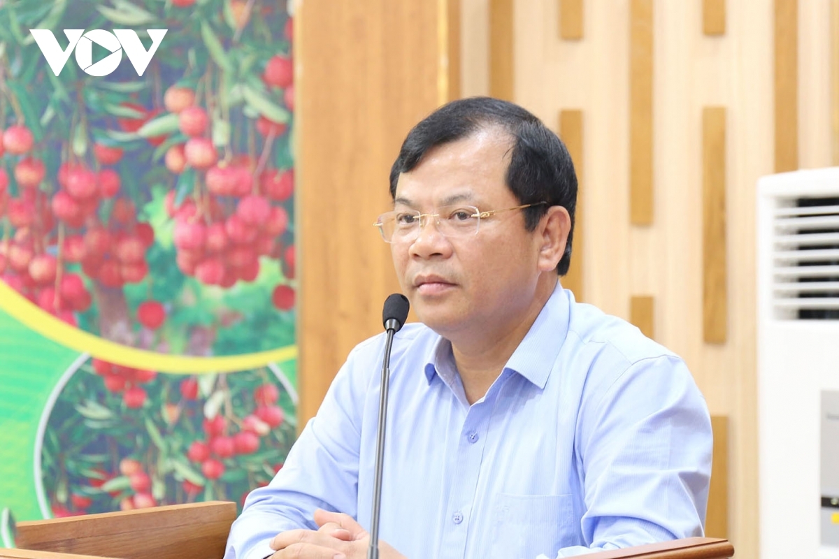 bắc giang tháo gỡ khó khăn, thúc đẩy tiêu thụ vải thiều hình ảnh 2 bac giang thao go kho khan, thuc day tieu thu vai thieu hinh anh 2