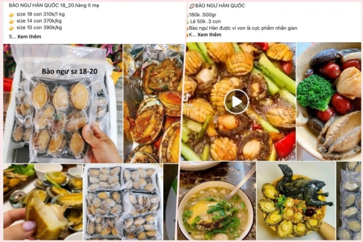 su that ve bao ngu han quoc gia re tran ngap cho mang hinh anh 2