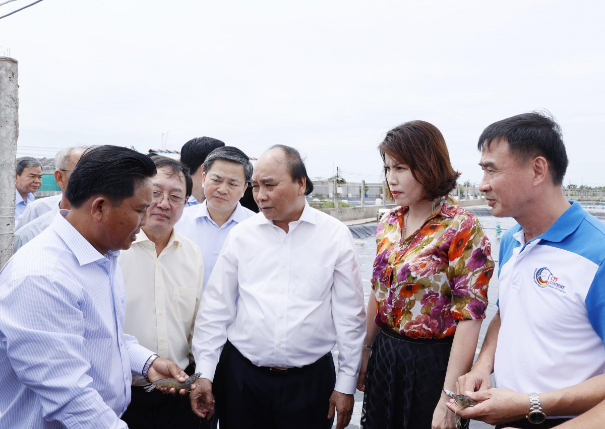 chủ tịch nước bến tre cần phấn đấu trở thành tỉnh khá cả nước vào năm 2030 hình ảnh 1 chu tich nuoc ben tre can phan dau tro thanh tinh kha ca nuoc vao nam 2030 hinh anh 1