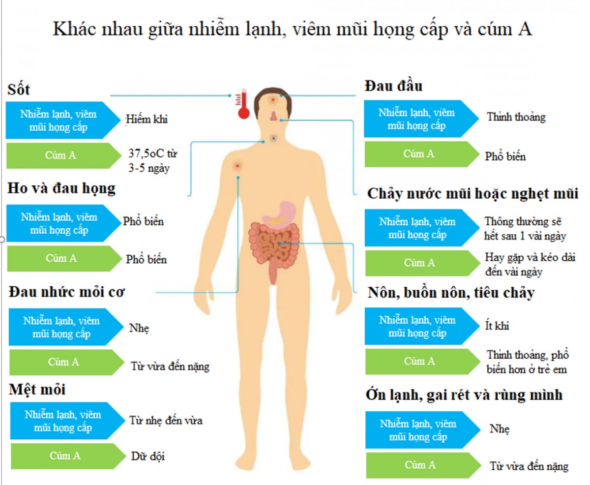 cúm a và viêm mũi họng cấp - phân biệt như thế nào hình ảnh 1 cum a va viem mui hong cap - phan biet nhu the nao hinh anh 1