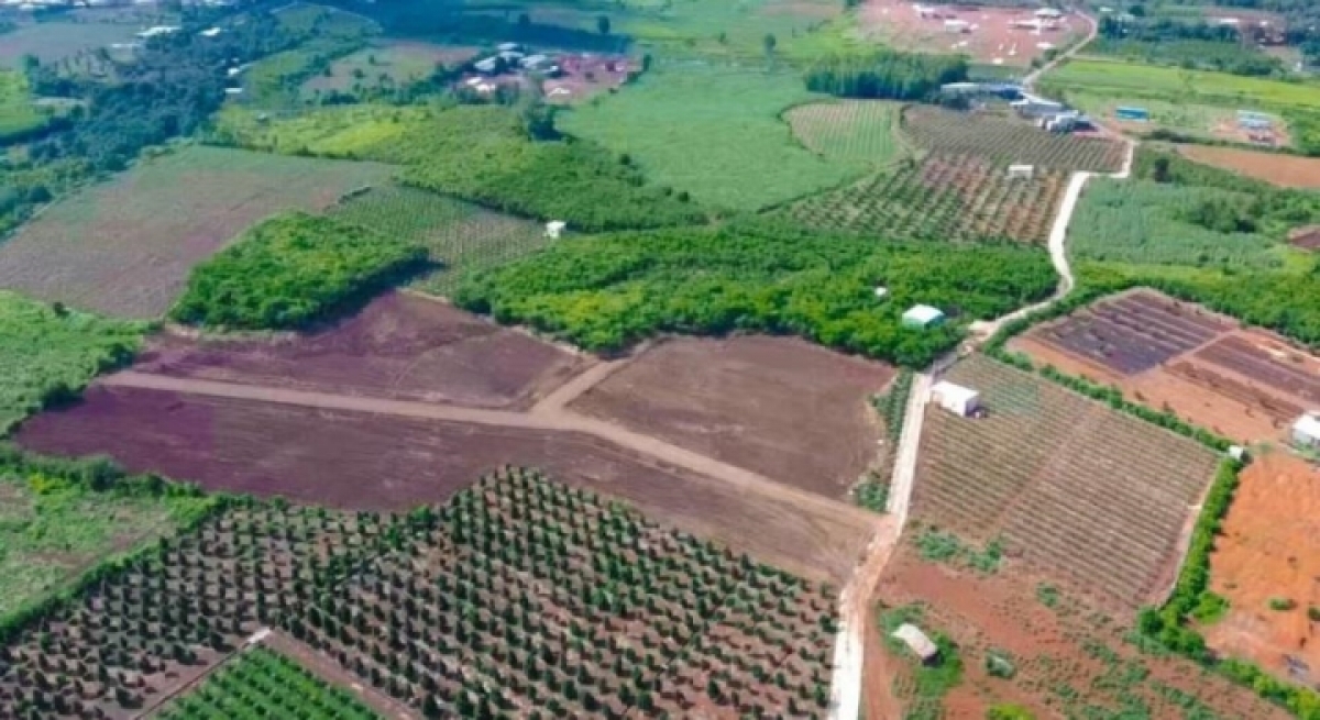bán nhà để đầu tư đất nông nghiệp, giờ phải ôm cục nợ hình ảnh 1 ban nha de dau tu dat nong nghiep, gio phai om cuc no hinh anh 1
