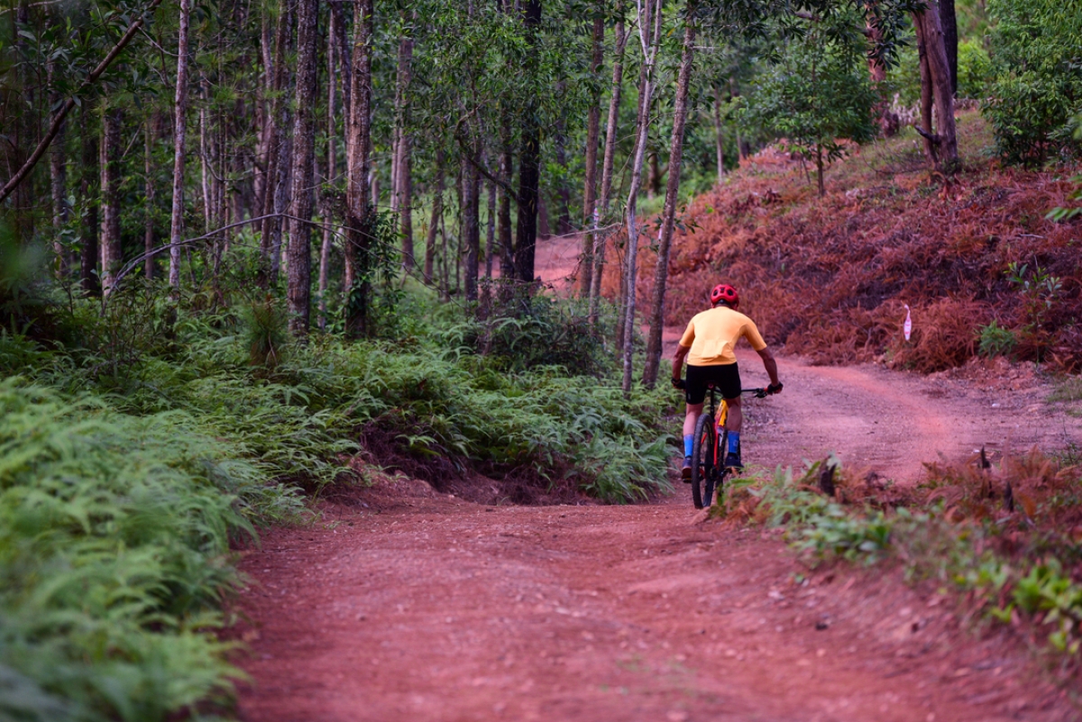 ron ra nhung guong chan mtb hinh anh 14