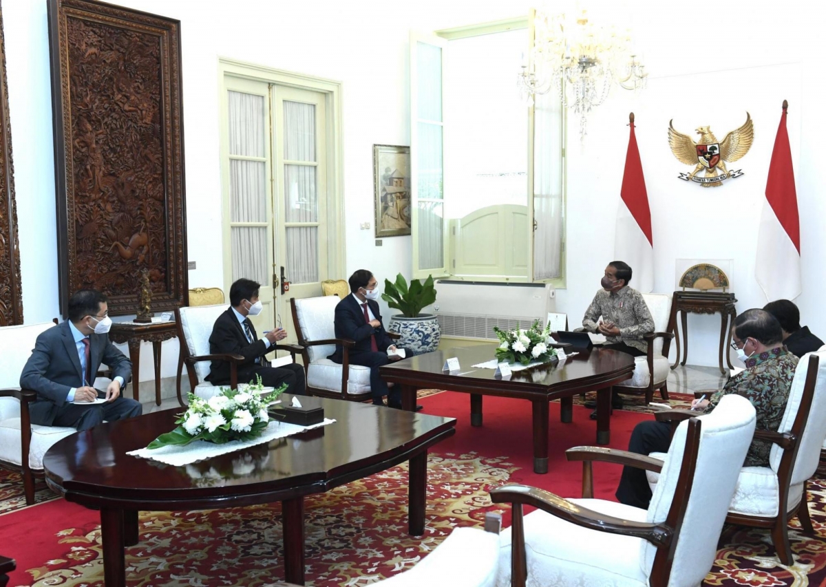 bo truong ngoai giao bui thanh son tiep kien tong thong indonesia joko widodo hinh anh 2