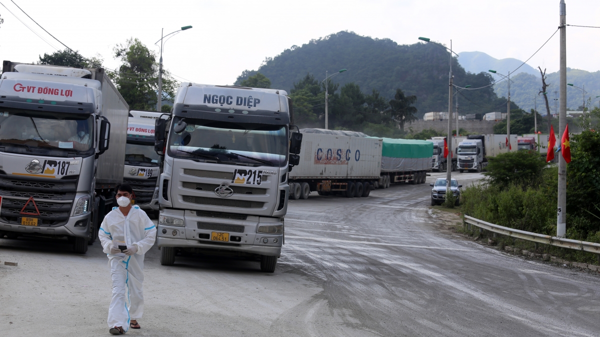 lạng sơn đẩy nhanh tiến độ thông quan hàng hóa nông sản tươi hình ảnh 2 lang son day nhanh tien do thong quan hang hoa nong san tuoi hinh anh 2