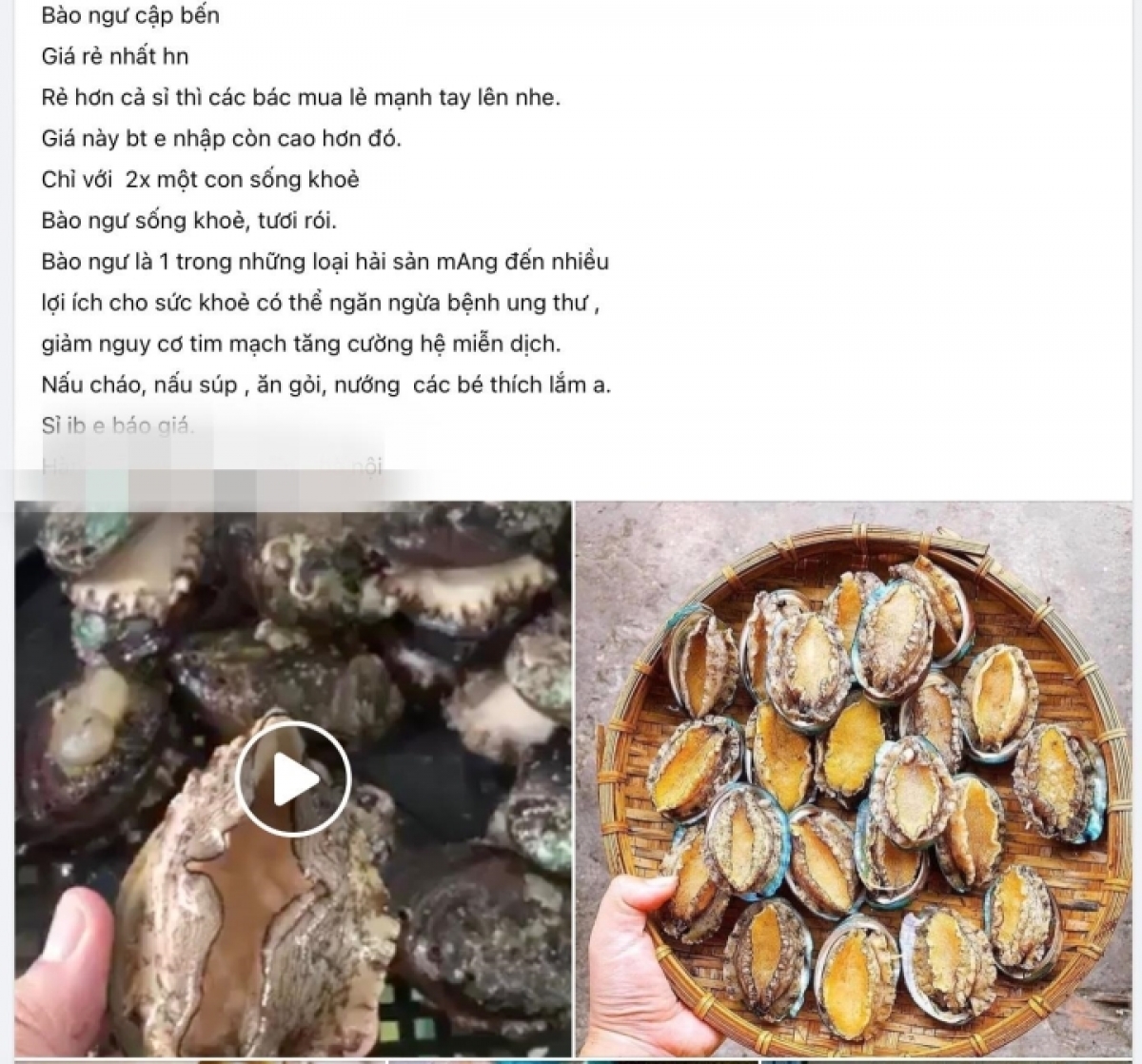 sự thật về bào ngư hàn quốc giá rẻ tràn ngập chợ mạng hình ảnh 1 su that ve bao ngu han quoc gia re tran ngap cho mang hinh anh 1