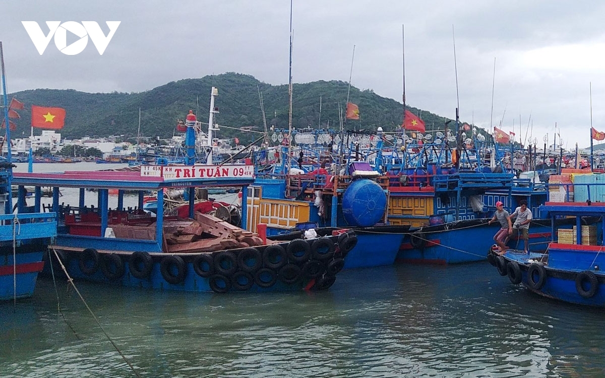 hơn 60.000 tàu thuyền được thông báo vào nơi tránh trú an toàn khỏi bão số 1 hình ảnh 1 hon 60.000 tau thuyen duoc thong bao vao noi tranh tru an toan khoi bao so 1 hinh anh 1