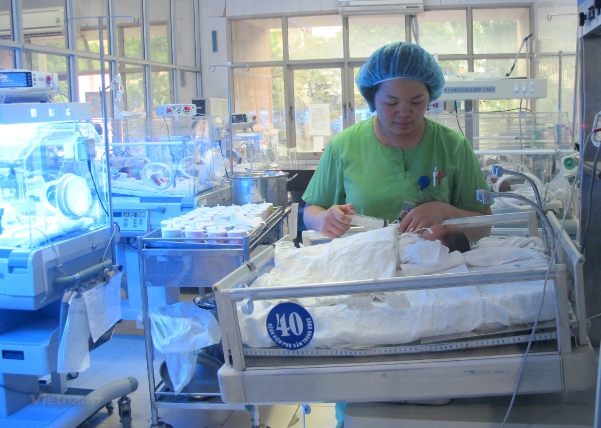 giai phap ngan chan de thue, mang thai ho vi muc dich thuong mai hinh anh 1