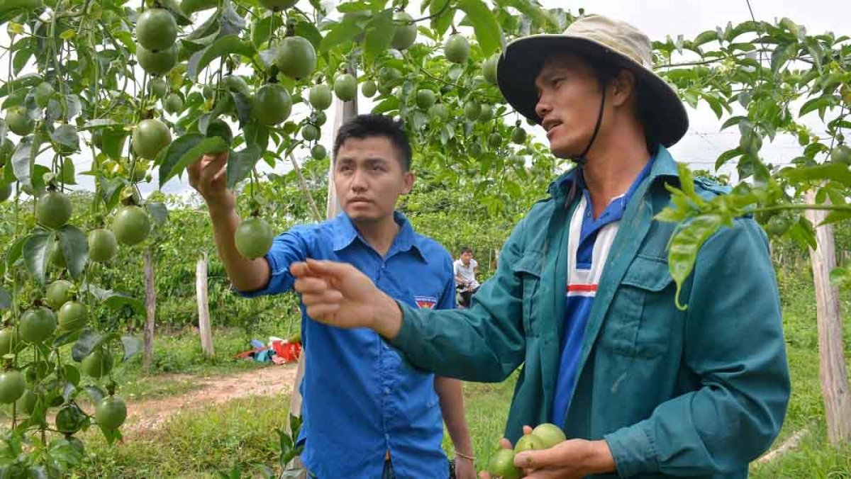 năm 2025 sẽ có trên 20 sản phẩm nông nghiệp ứng dụng công nghệ cao hình ảnh 1 nam 2025 se co tren 20 san pham nong nghiep ung dung cong nghe cao hinh anh 1