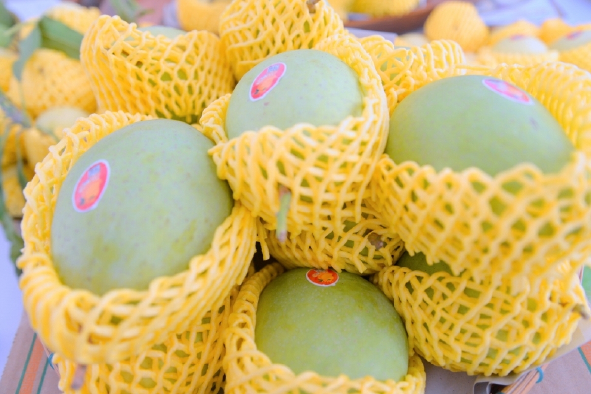 nang cao gia tri xoai Dong thap de tiep can nguoi tieu dung hinh anh 2