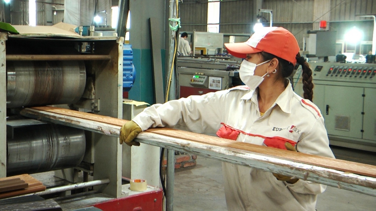 85 doanh nghiệp lạc quan vào triển vọng kinh doanh hình ảnh 1 85 doanh nghiep lac quan vao trien vong kinh doanh hinh anh 1