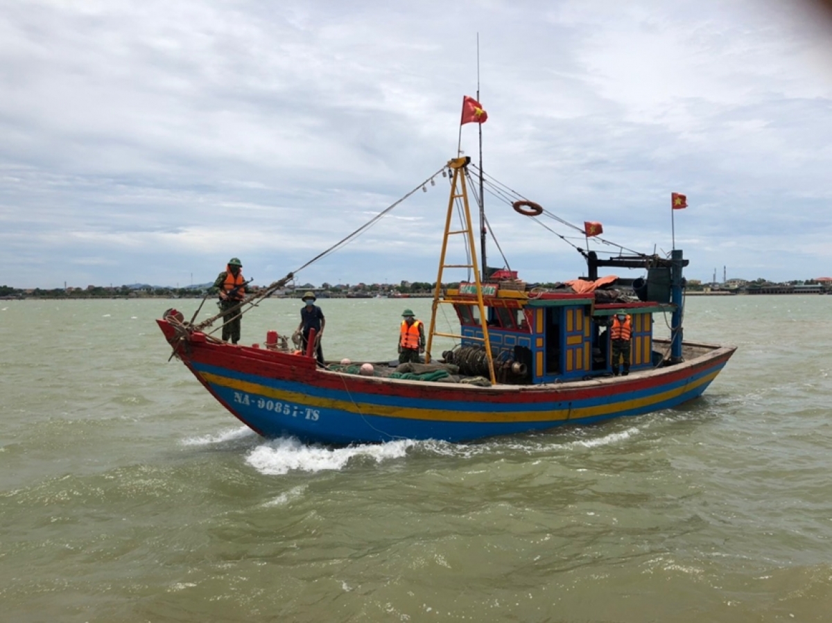 tăng cường kiểm tra, rà soát tình trạng khai thác hải sản trái phép ở hà tĩnh hình ảnh 1 tang cuong kiem tra, ra soat tinh trang khai thac hai san trai phep o ha tinh hinh anh 1