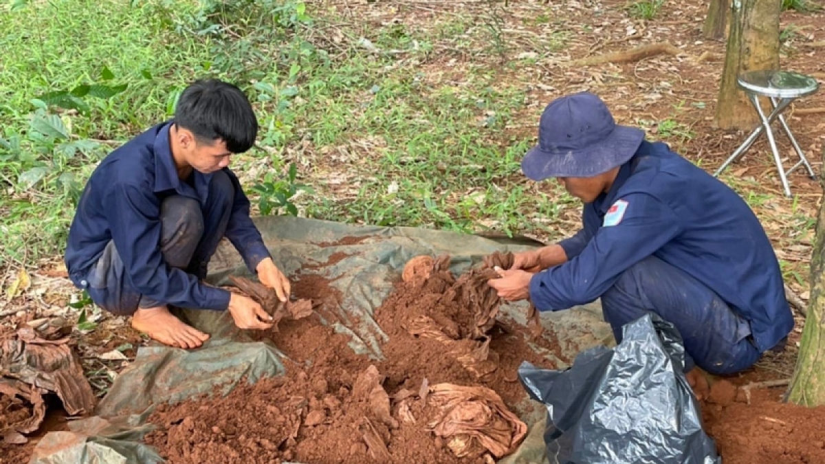 binh phuoc quy tap duoc 9 hai cot liet sy hinh anh 1