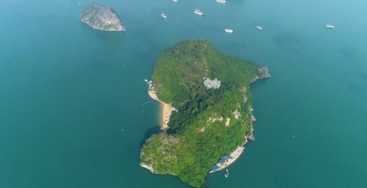 vi sao du khach tham quan vinh ha long khong duoc len dao soi sim hinh anh 3