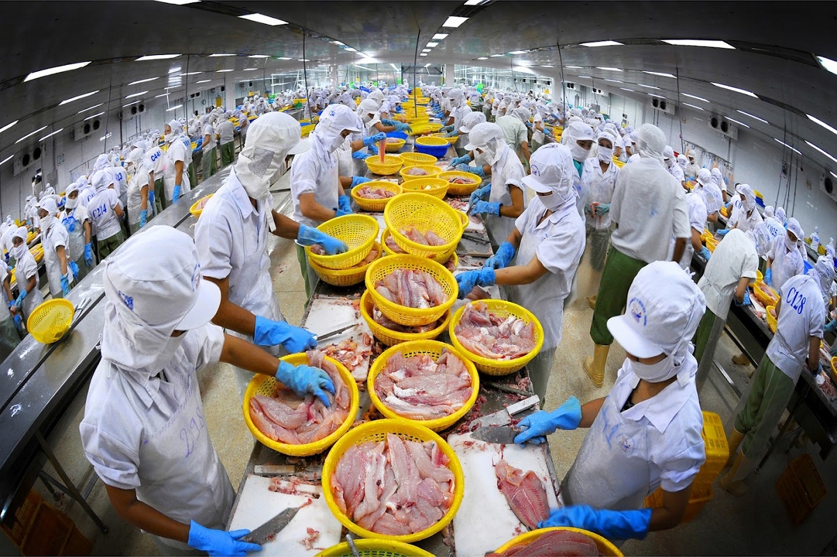 doanh nghiệp thủy sản ứng phó với biến động tỷ giá hình ảnh 1 doanh nghiep thuy san ung pho voi bien dong ty gia hinh anh 1