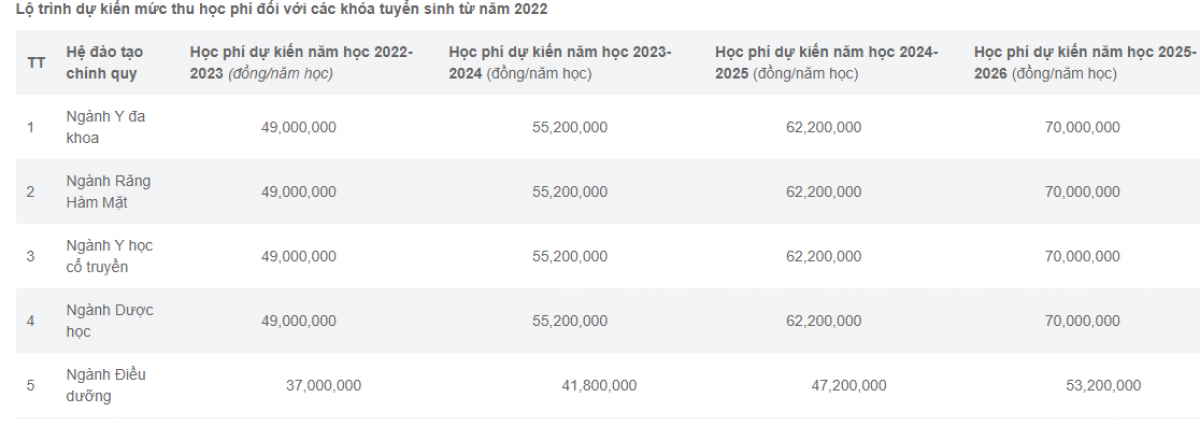 hoc phi nganh y, duoc tang manh, co lo bo lot thi sinh gioi nhung khong giau hinh anh 2
