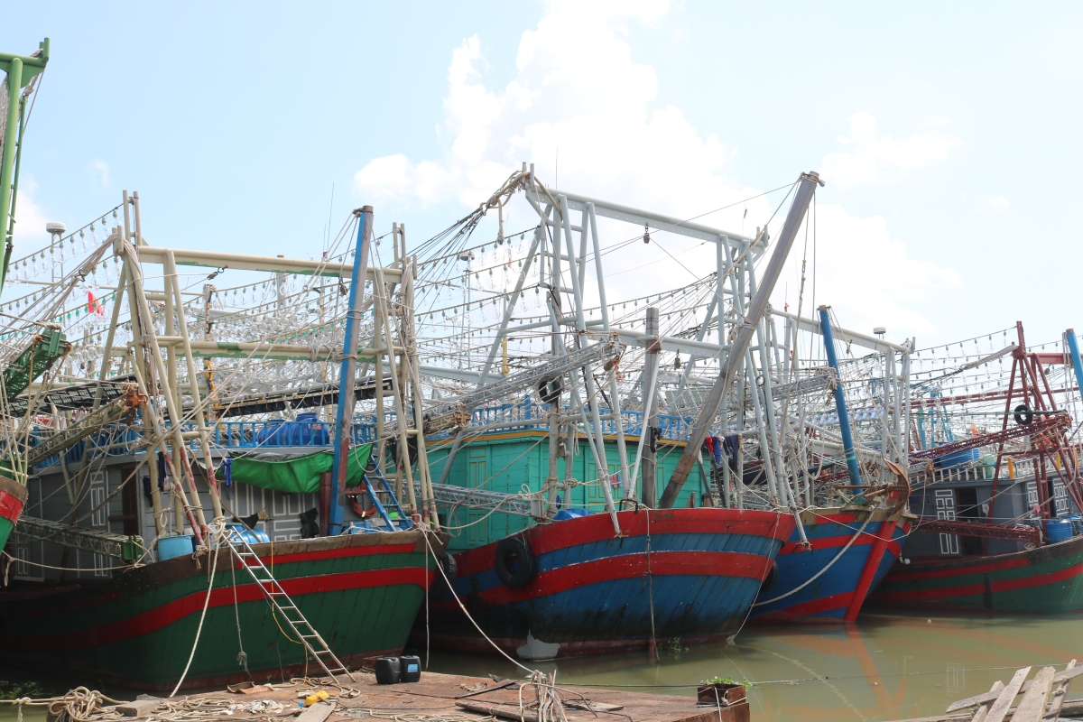 hai phong chu dong ung pho bao so 2 hinh anh 1