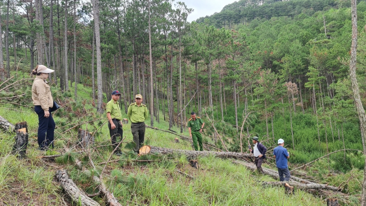 khoi to 3 doi tuong chu muu vu chat ha thong Da lat hinh anh 2