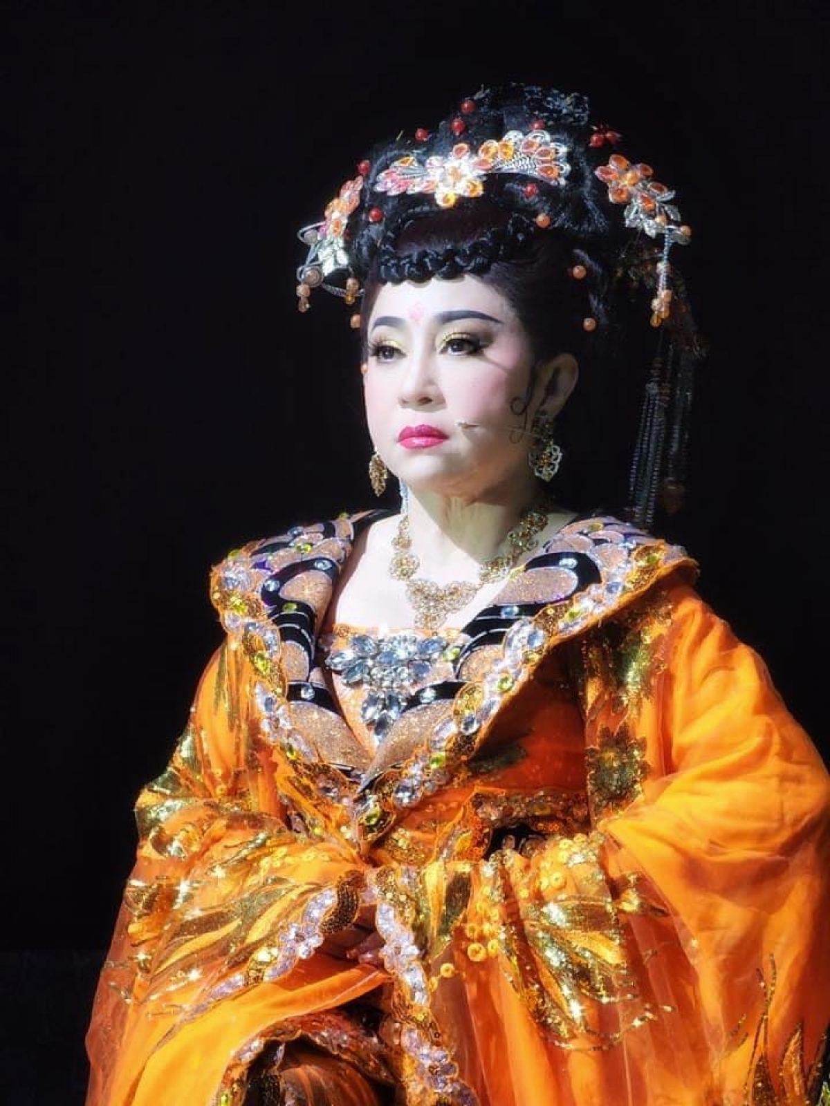 tp.hcm kiến nghị xét lại hồ sơ cho 6 nghệ sĩ không được danh hiệu nsnd hình ảnh 2 tp.hcm kien nghi xet lai ho so cho 6 nghe si khong duoc danh hieu nsnd hinh anh 2