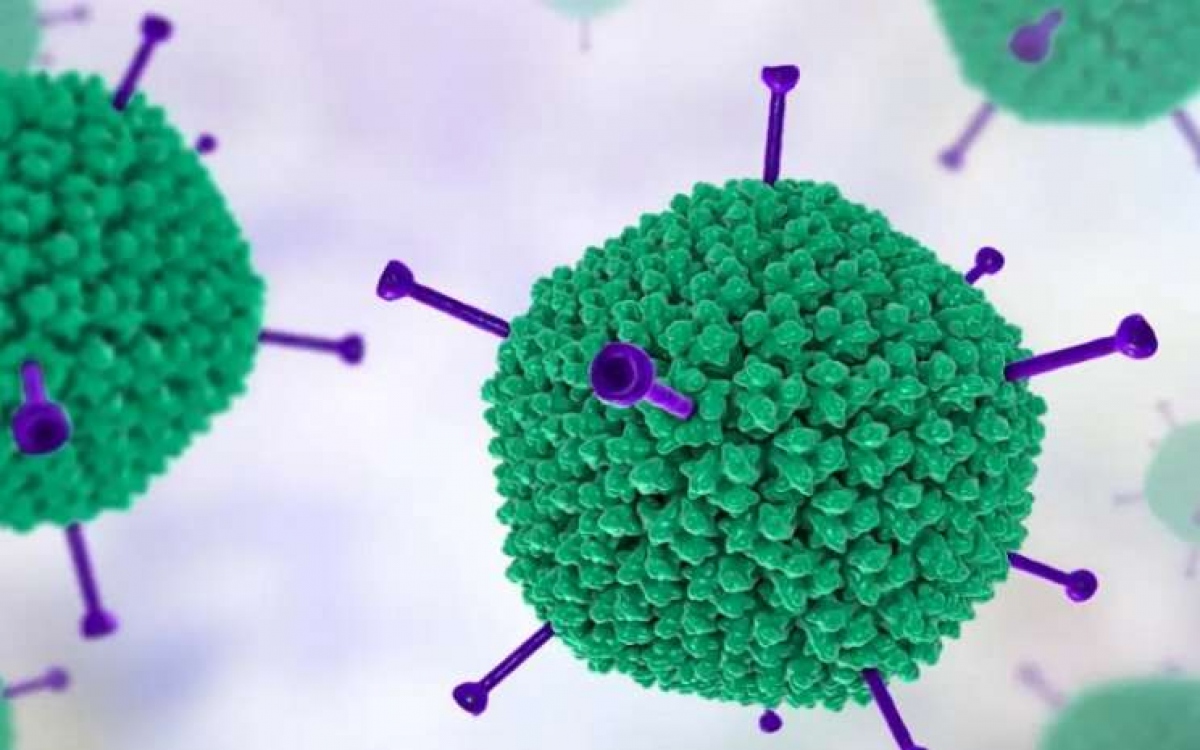 số trẻ mắc gia tăng, adenovirus có nguy hiểm hình ảnh 1 so tre mac gia tang, adenovirus co nguy hiem hinh anh 1