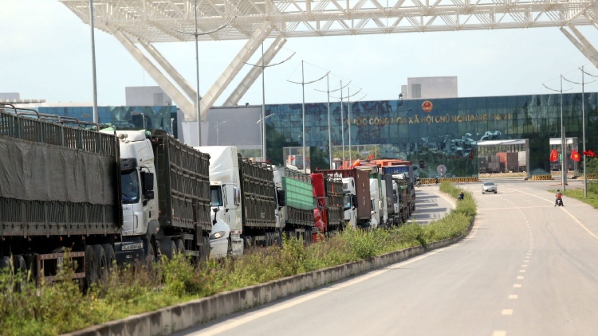 thủ tướng chỉ đạo chấn chỉnh hành vi tiêu cực về thông quan hàng hóa hình ảnh 1 thu tuong chi dao chan chinh hanh vi tieu cuc ve thong quan hang hoa hinh anh 1