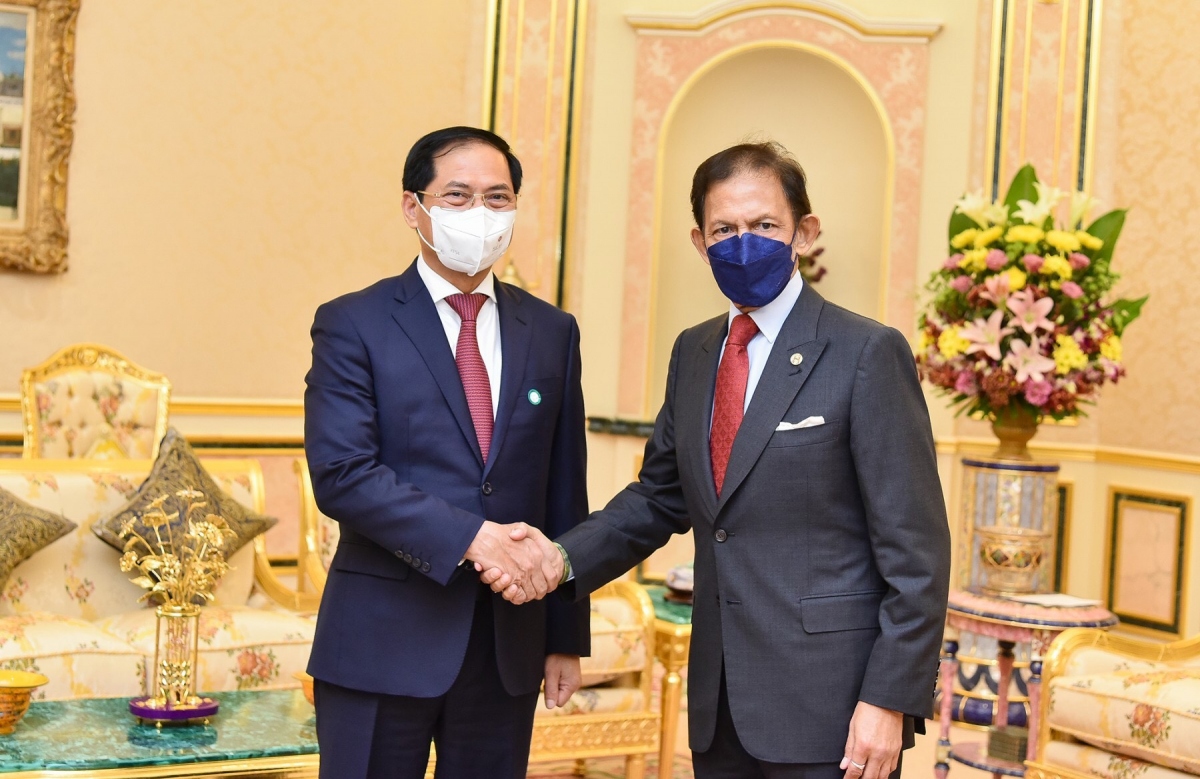 bộ trưởng ngoại giao bùi thanh sơn tiếp kiến quốc vương brunei darussalam hình ảnh 1 bo truong ngoai giao bui thanh son tiep kien quoc vuong brunei darussalam hinh anh 1
