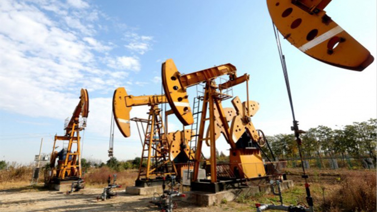 gia dau chau A tang hon 3 khi opec xem xet giam 1 trieu thung ngay hinh anh 1