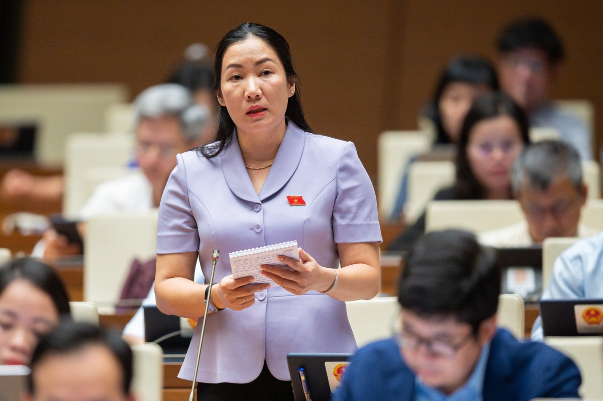 Dai bieu quoc hoi de nghi bo sung quy dinh ve phong, chong su co dau khi hinh anh 2