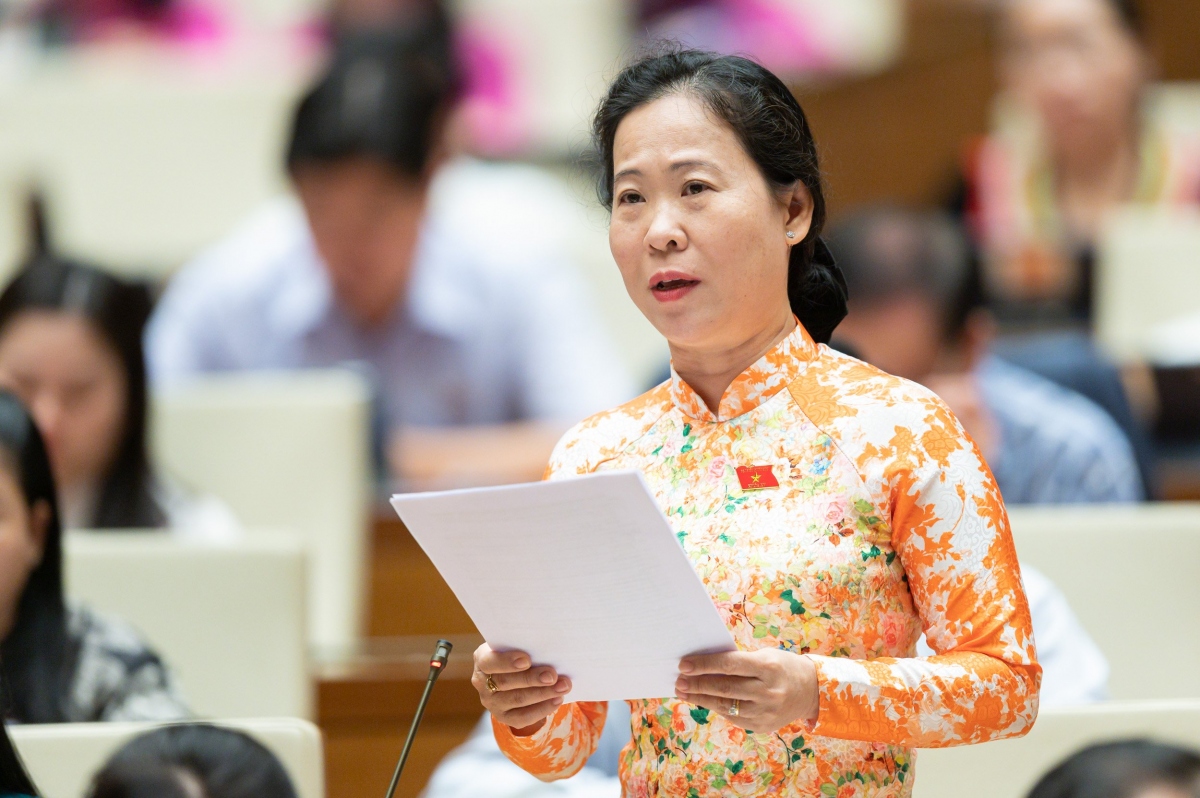 Dai bieu quoc hoi kien nghi som khac phuc, rut kinh nghiem trong dieu hanh xang dau hinh anh 2