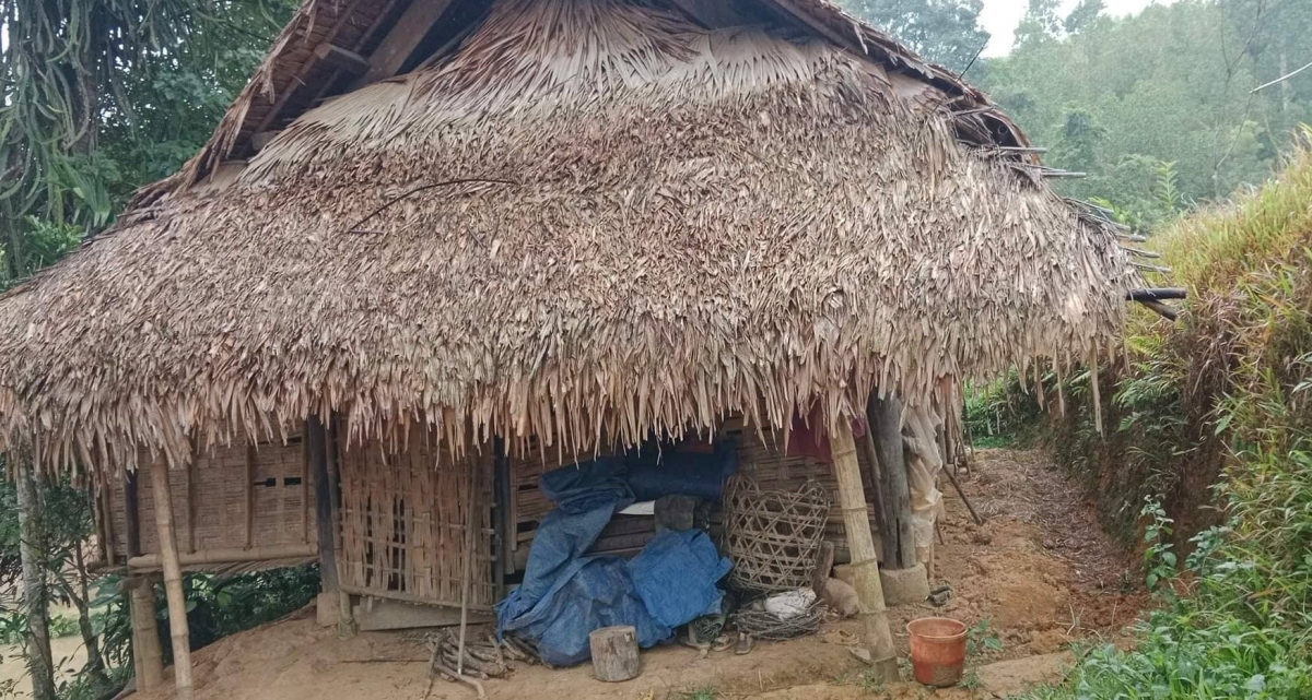 3 bố con nhập viện cấp cứu vì bị ngộ độc nặng sau khi ăn nhầm trứng cóc hình ảnh 1 3 bo con nhap vien cap cuu vi bi ngo doc nang sau khi an nham trung coc hinh anh 1
