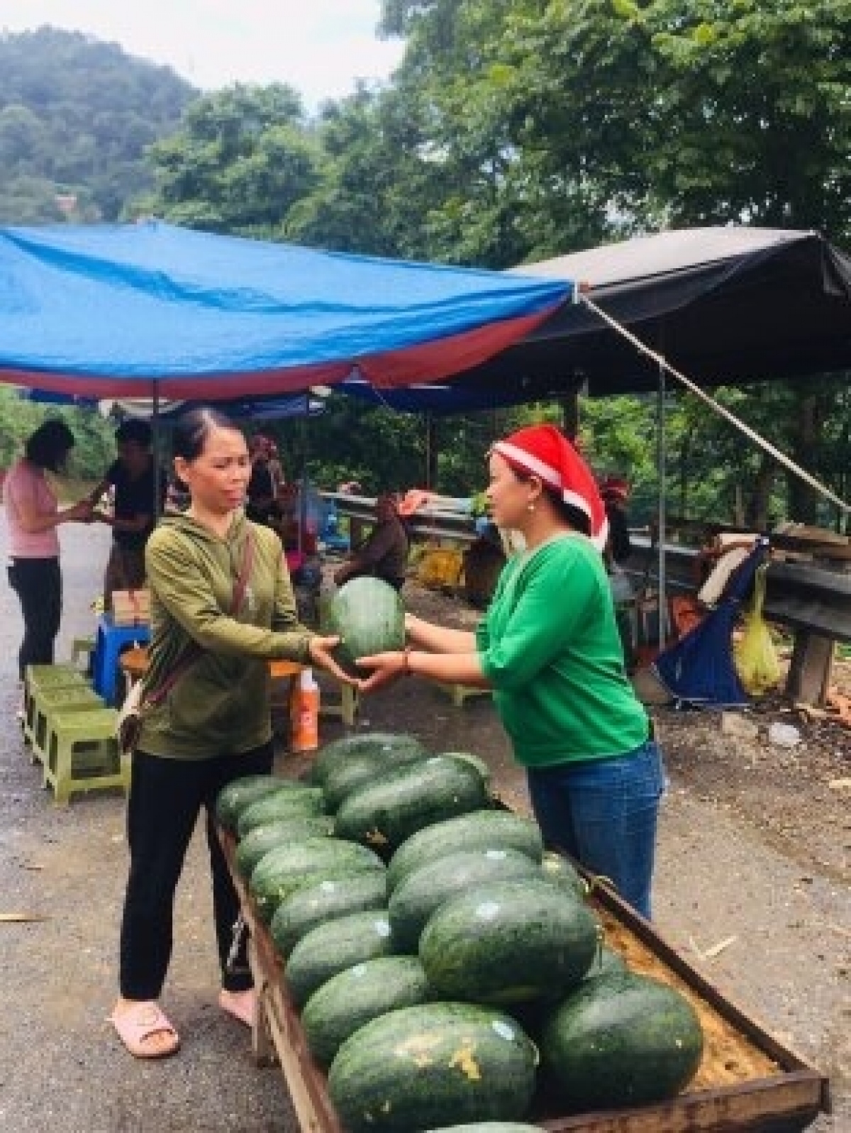 người phụ nữ dao và khát vọng vươn lên thoát nghèo hình ảnh 1 nguoi phu nu dao va khat vong vuon len thoat ngheo hinh anh 1
