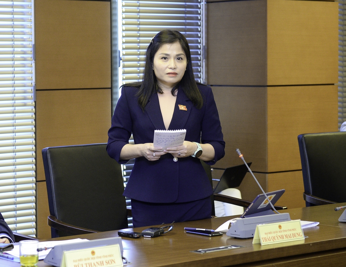 nhieu dai bieu bi phe binh it phat bieu nhung co khi ho nhan nut cham hinh anh 2