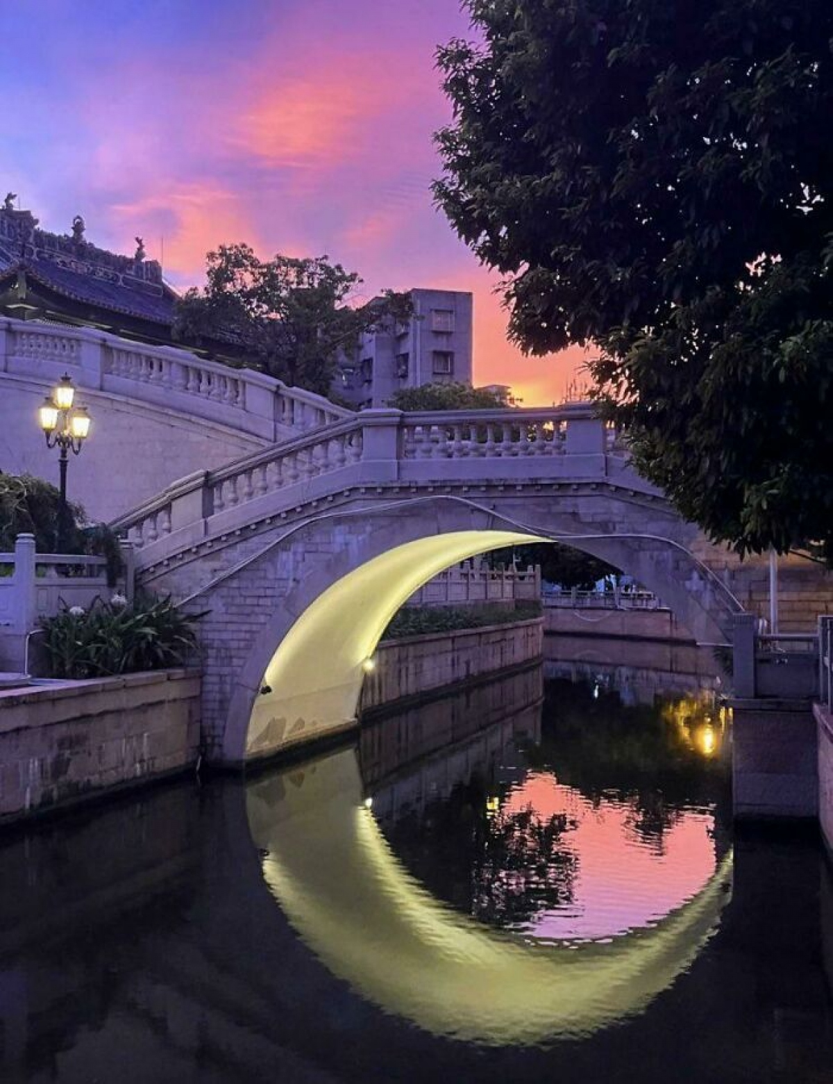 mãn nhãn trước những bức ảnh hoàn hảo và đúng thời điểm hình ảnh 1 man nhan truoc nhung buc anh hoan hao va dung thoi diem hinh anh 1