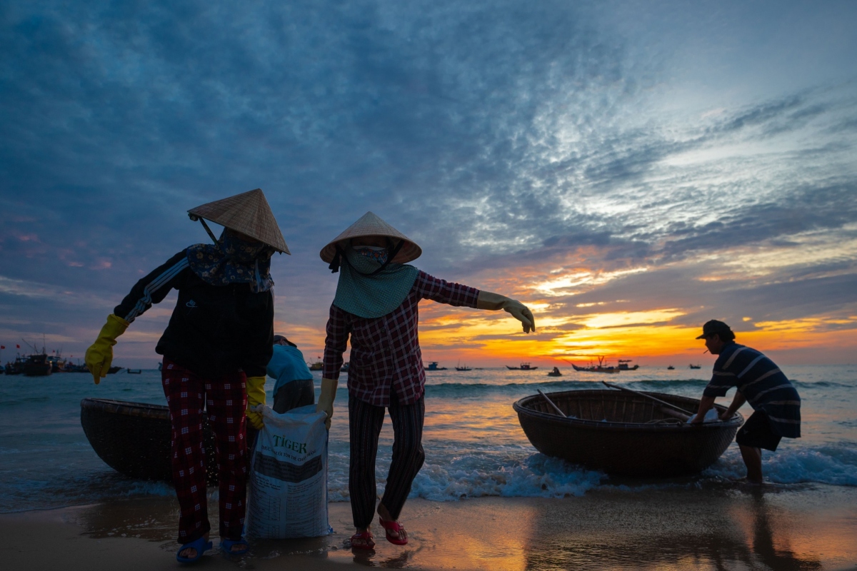ve dep binh di vao sang som o cho ca lon nhat quang nam hinh anh 4