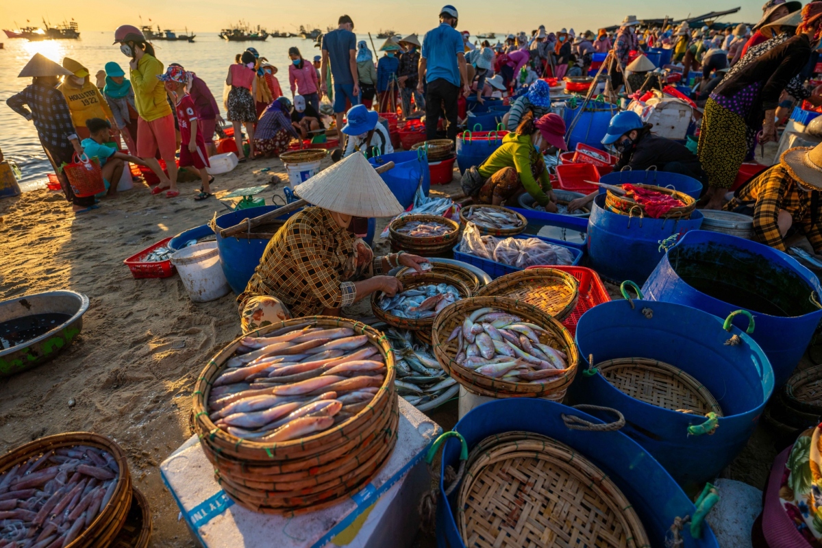 ve dep binh di vao sang som o cho ca lon nhat quang nam hinh anh 7