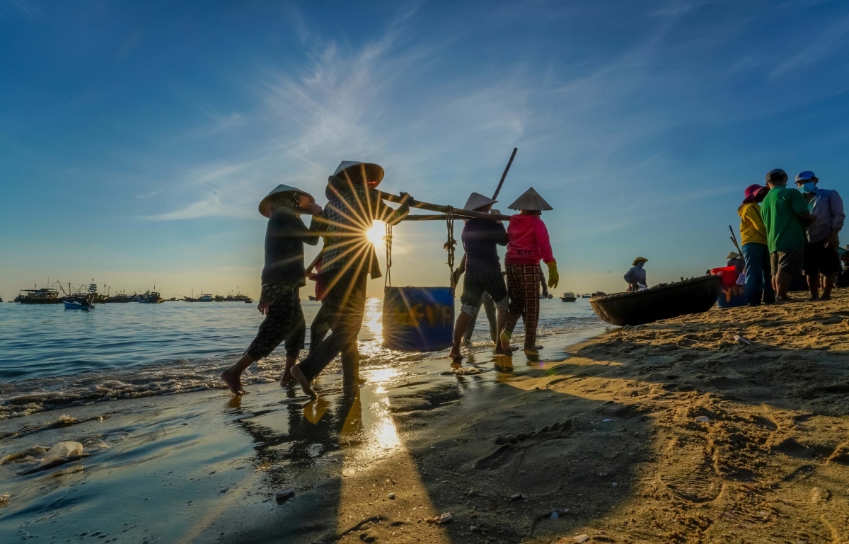 ve dep binh di vao sang som o cho ca lon nhat quang nam hinh anh 8