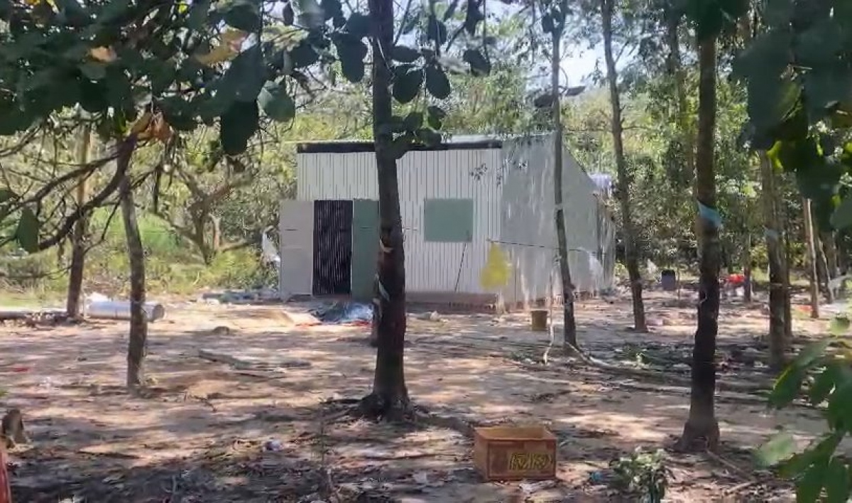 chong chet, vo bi thuong sau tieng la het hinh anh 2