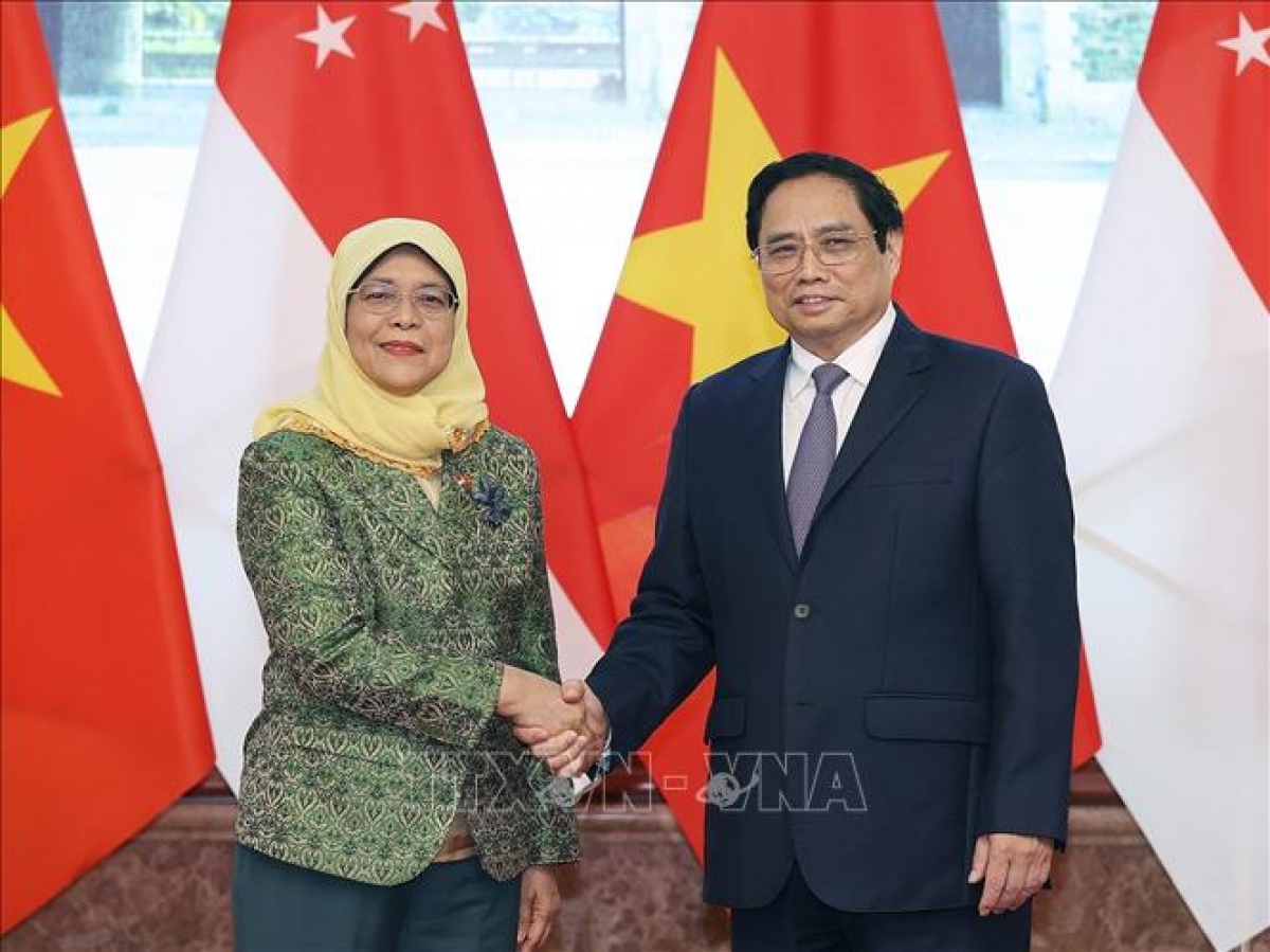 xay dung quan he doi tac kinh te so, kinh te xanh viet nam - singapore hinh anh 1