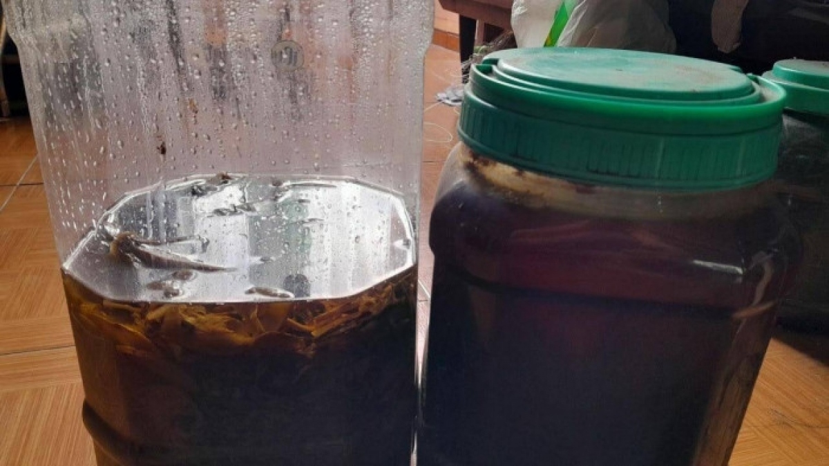 uống rượu thuốc tự ngâm, người tử vong, người nguy kịch hình ảnh 1 uong ruou thuoc tu ngam, nguoi tu vong, nguoi nguy kich hinh anh 1
