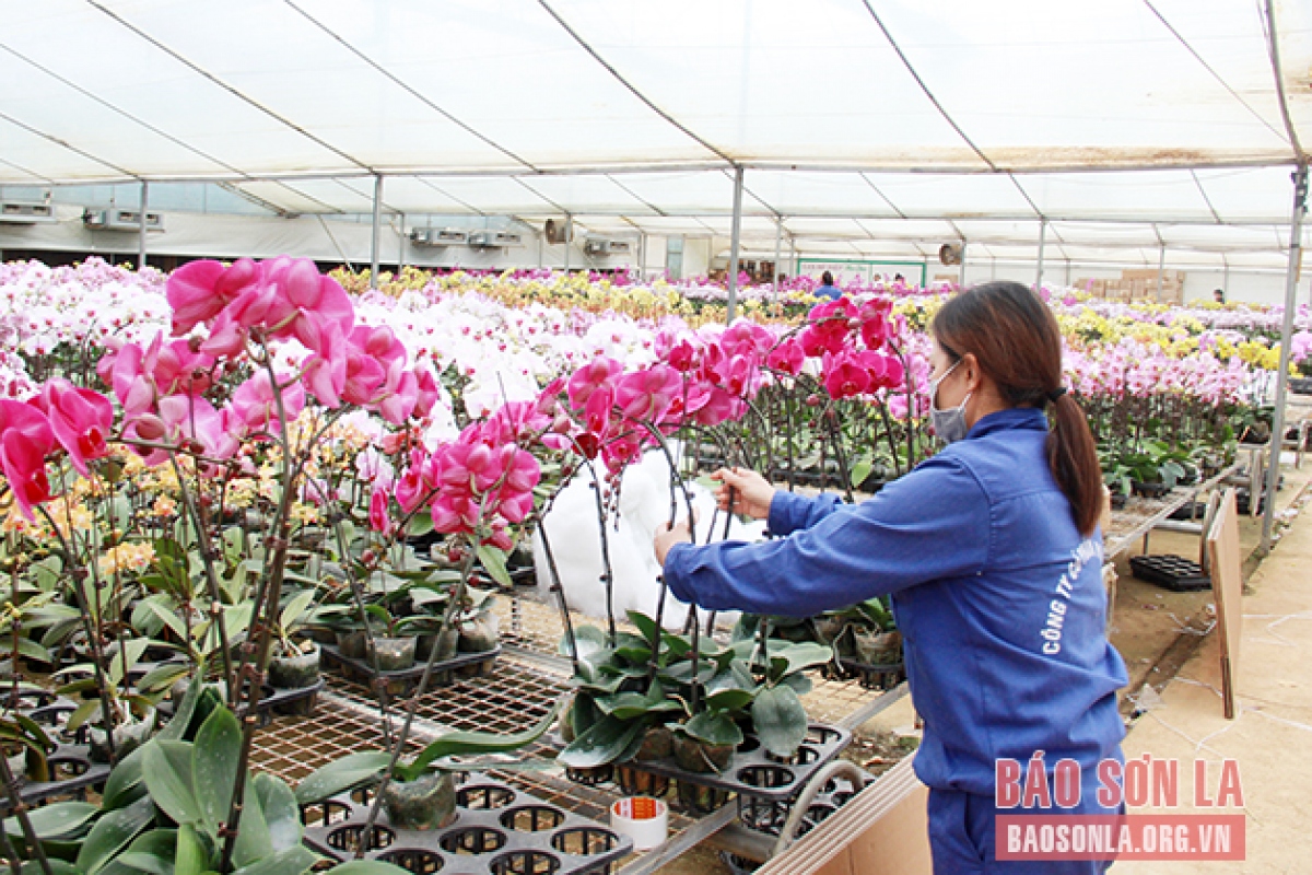 tạo bước đột phá để nông nghiệp phát triển bền vững hình ảnh 1 tao buoc dot pha de nong nghiep phat trien ben vung hinh anh 1