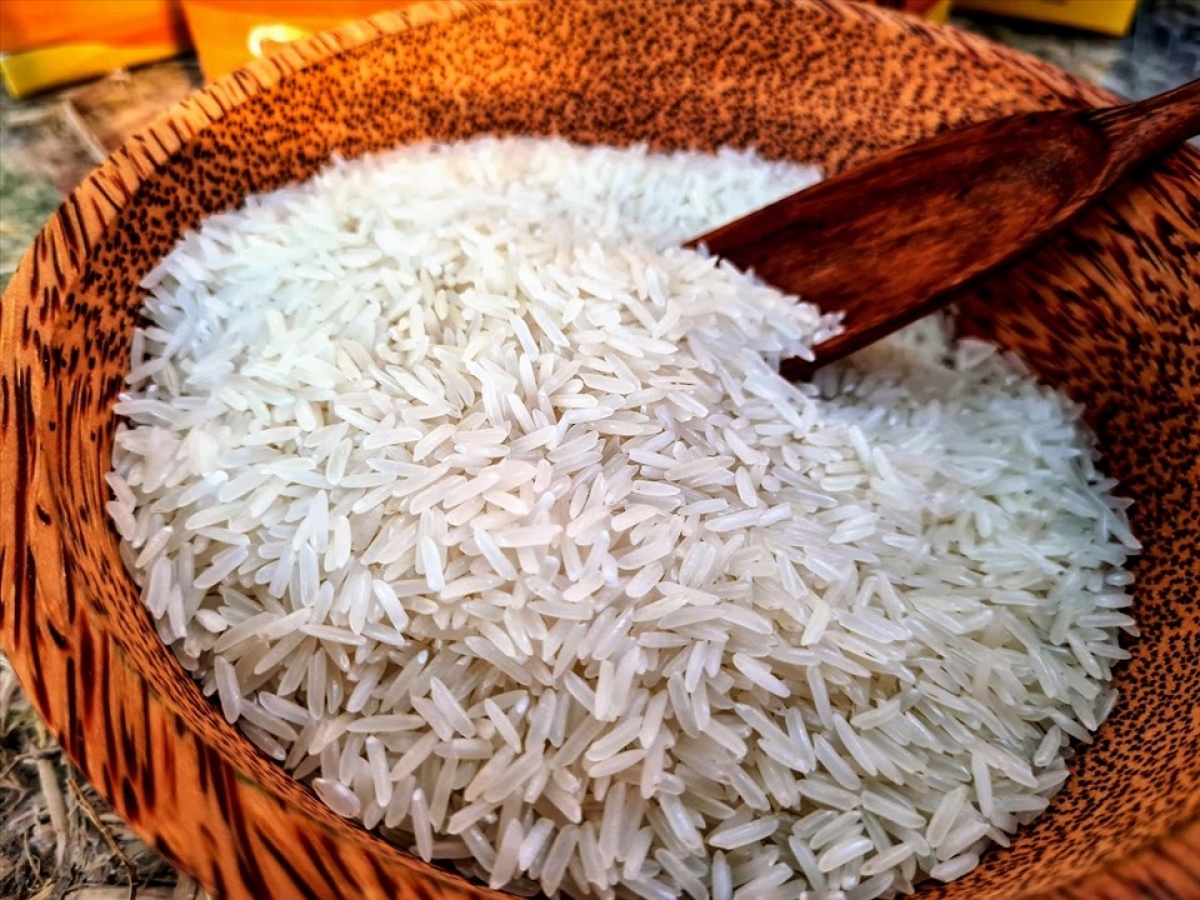 giá gạo giảm mạnh nhất trong vòng 45 năm, người dân lo ngại giá thu mua thấp hình ảnh 1 gia gao giam manh nhat trong vong 45 nam, nguoi dan lo ngai gia thu mua thap hinh anh 1
