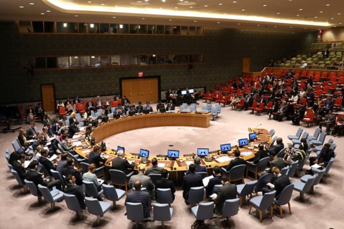 liên hợp quốc không thông qua dự thảo nghị quyết điều tra vũ khí sinh học ở ukraine hình ảnh 1 lien hop quoc khong thong qua du thao nghi quyet dieu tra vu khi sinh hoc o ukraine hinh anh 1