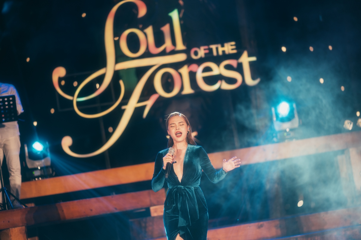 Dem nhac soul of the forest dong thoi gian de lai nhieu xuc cam noi khan gia hinh anh 4