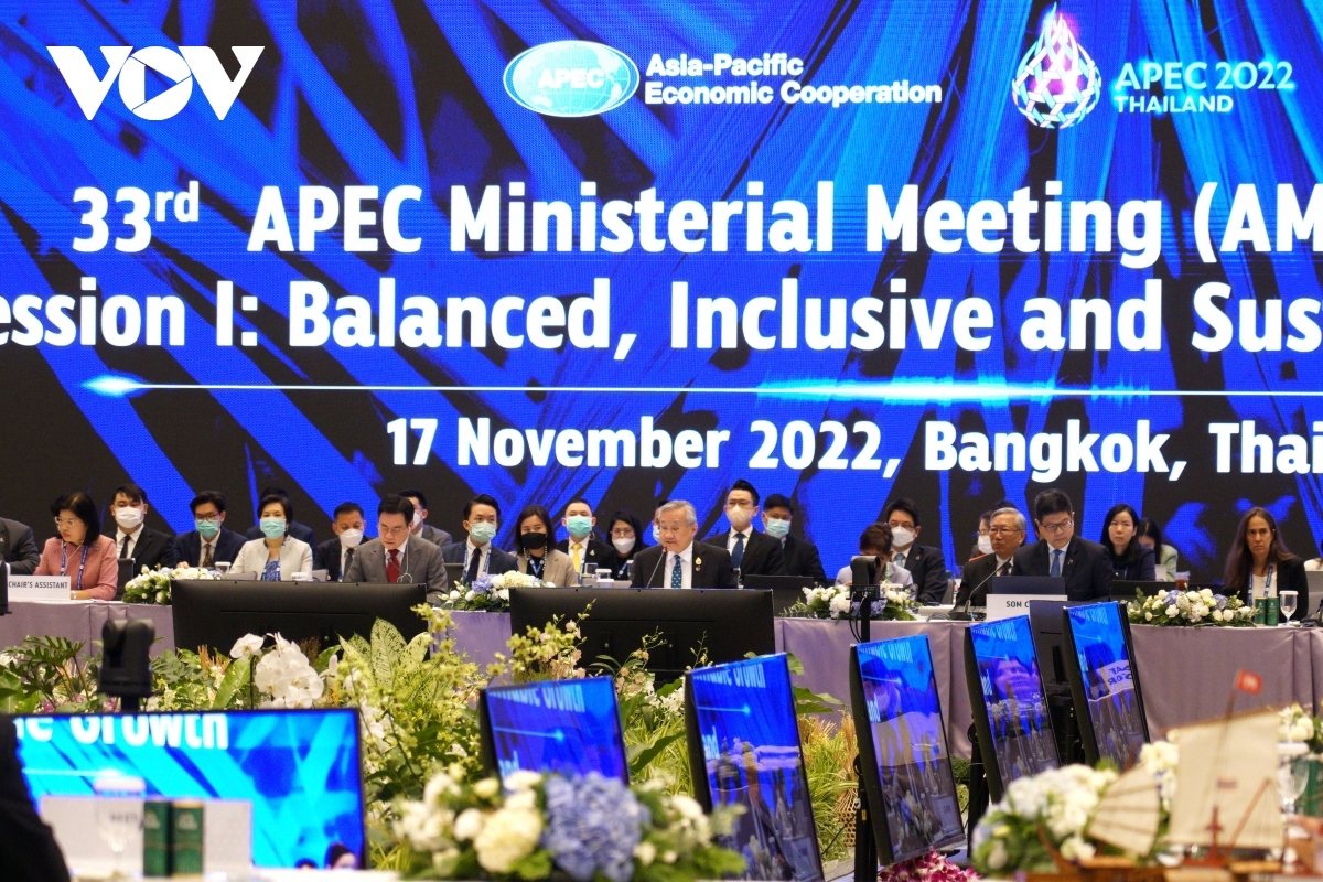 triển vọng các giải pháp phục hồi kinh tế tại hội nghị cấp cao apec hình ảnh 1 trien vong cac giai phap phuc hoi kinh te tai hoi nghi cap cao apec hinh anh 1