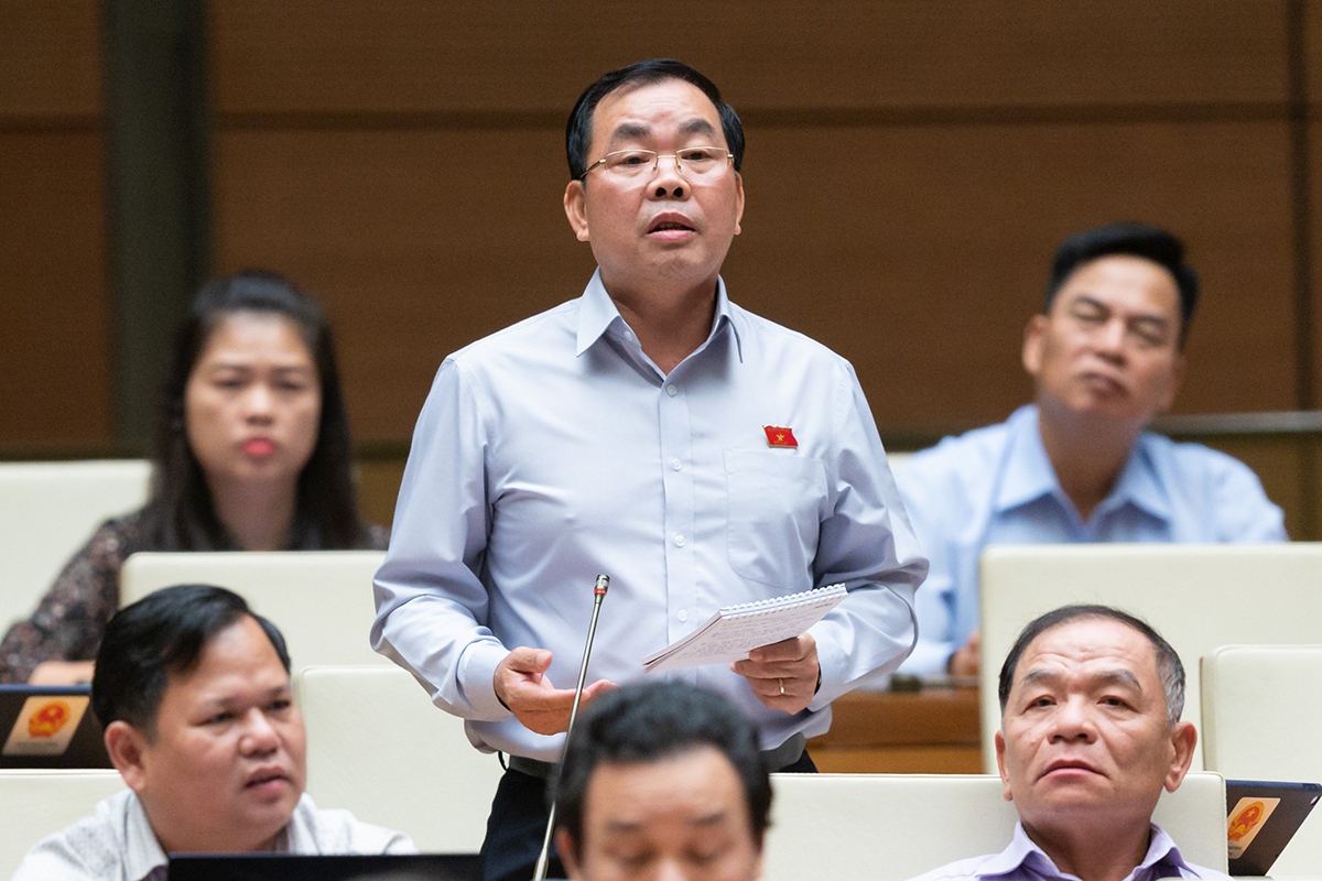 Dai bieu quoc hoi de xuat mo rong doi tuong duoc chat van hinh anh 3