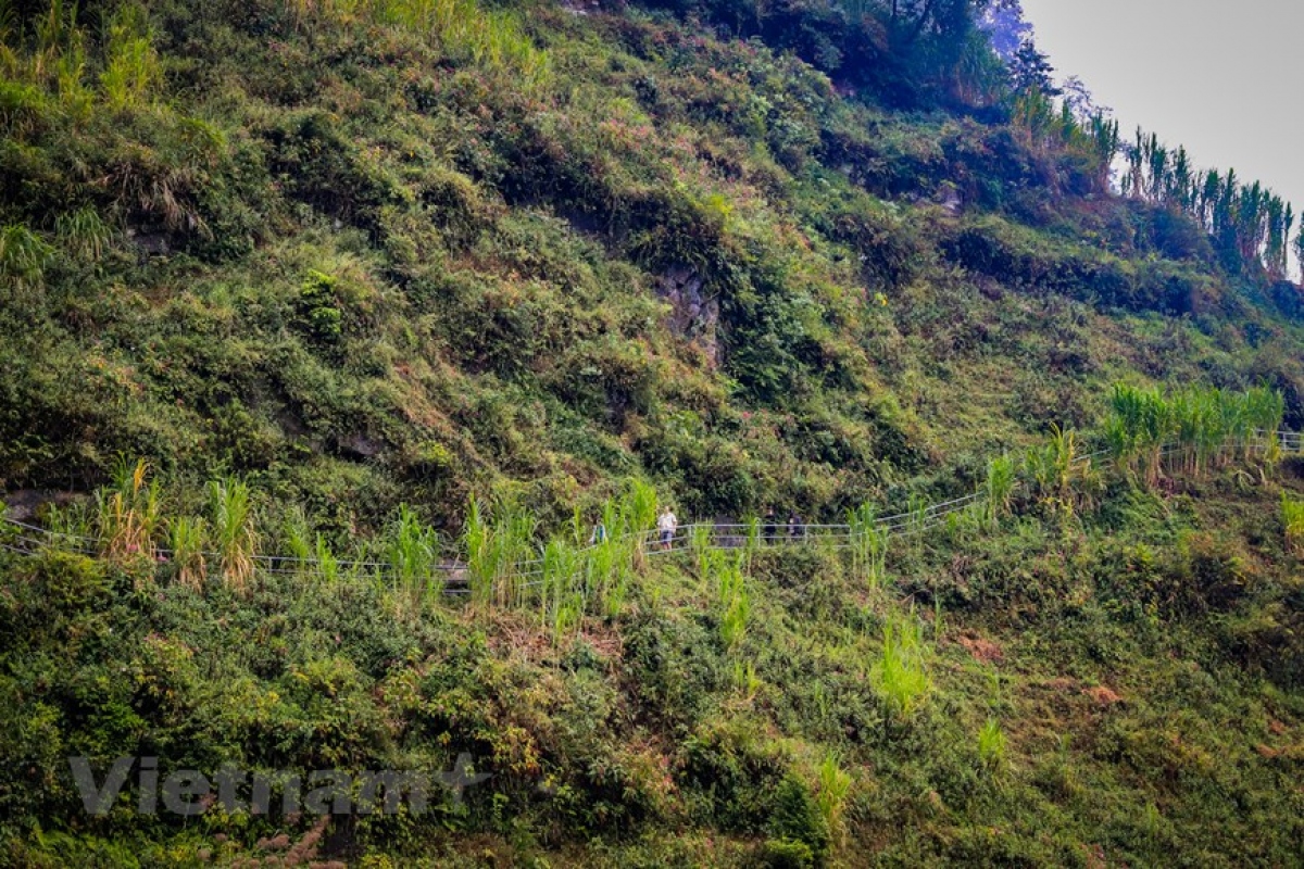 con duong chinh phuc vach da than ha giang tren deo ma pi leng hinh anh 4