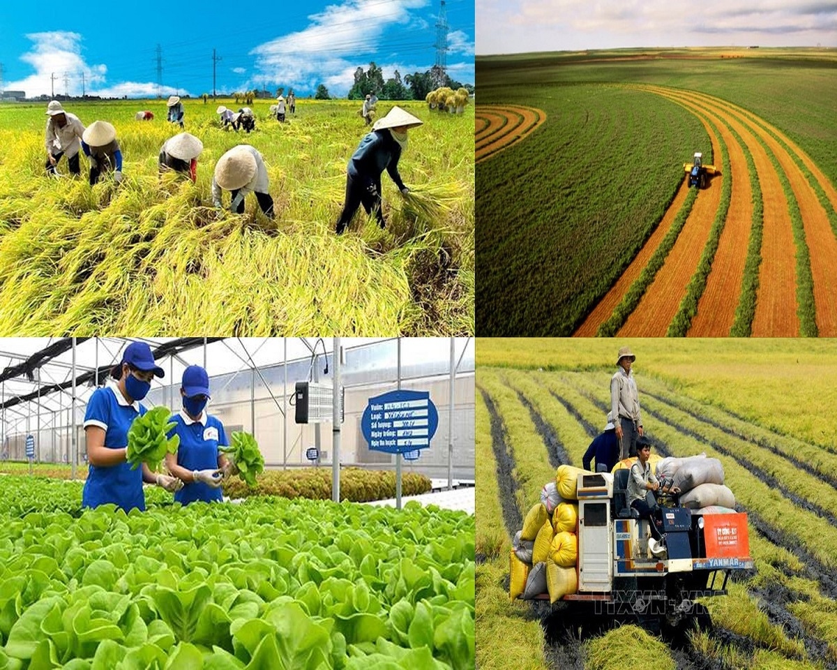 nông nghiệp vượt khó khăn, tăng trưởng vượt xa mục tiêu đề ra hình ảnh 1 nong nghiep vuot kho khan, tang truong vuot xa muc tieu de ra hinh anh 1