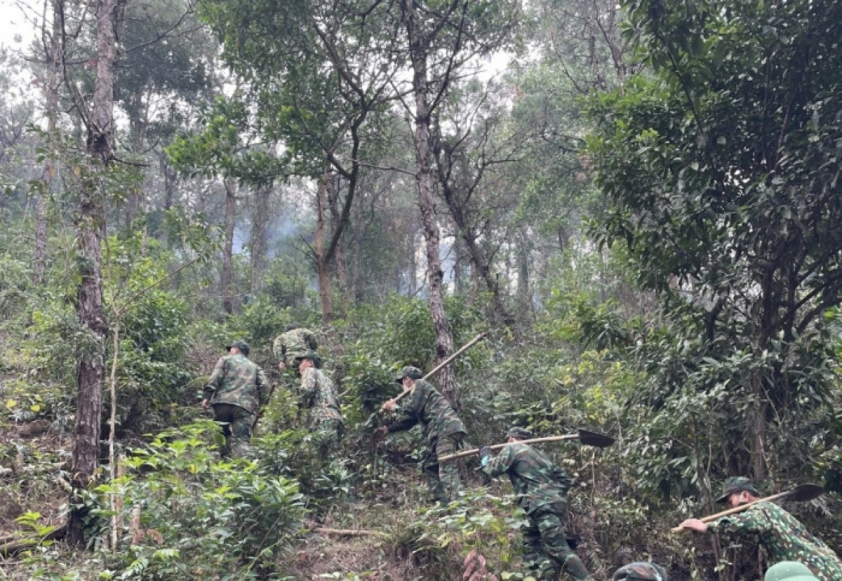 lua bung chay du doi, thieu rui nhieu dien tich rung o tp mong cai hinh anh 2
