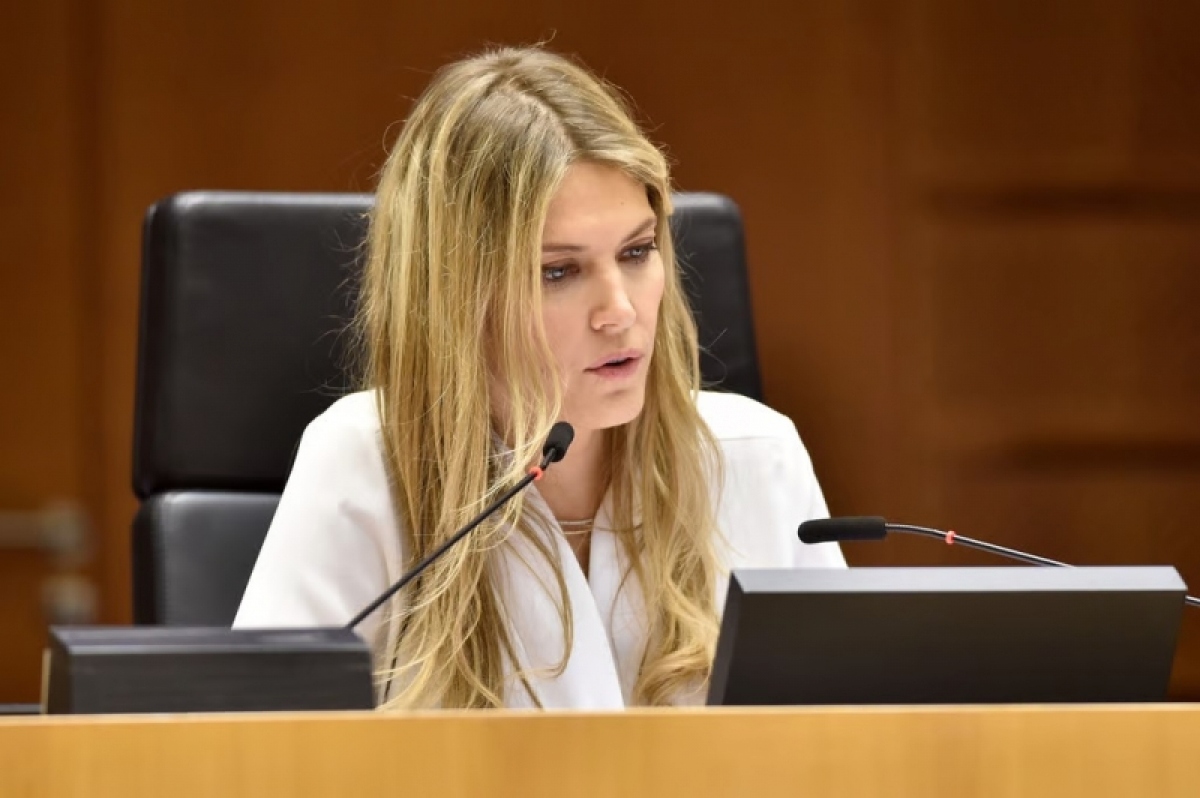 hy lap dong bang tai san cua pho chu tich ep dinh liu toi tham nhung hinh anh 1